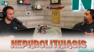 Nephrolithiasis  Podcast [upl. by Yelrihs]