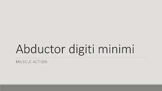 Abductor Digiti Minimi Action [upl. by Arikahc]