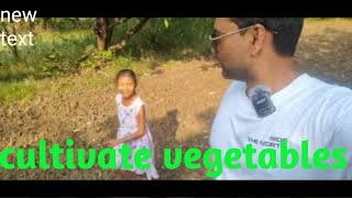 For the first time we brought vegetable plants and seeds sajan volgs  vegetable vlog [upl. by Siseneg612]