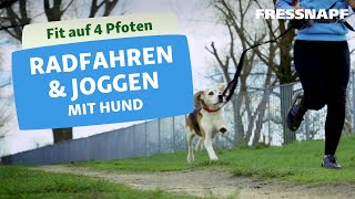 Joggen und Radfahren mit Hund [upl. by Legge565]