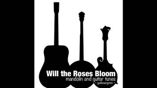 Will the Roses Bloom mandolin introsolo tutorial [upl. by Fisoi974]