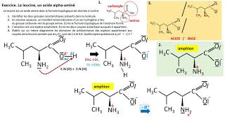 TERMspé Exercice  diagrammes de prédominance dun acide aminé [upl. by Beach]