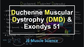 Duchenne Muscular Dystrophy DMD amp Exondys 51  JS Muscle Science [upl. by Cirdec]