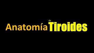 SERIE GLÁNDULA TIROIDES  Anatomía de Tiroides [upl. by Iaoh]