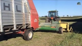 Chopping Silage  3rd Crop Farm 2 [upl. by Jorey]