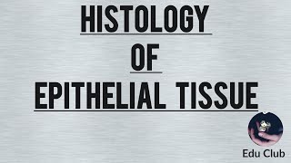 EPITHELIUM  Classification  Basic Histology [upl. by Akedijn]