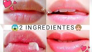 Cómo hidratar tus LABIOS en 2 MINUTOS 💋 [upl. by Aylatan291]