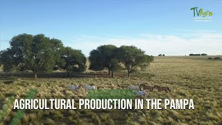 Agricultural production in the Pampa [upl. by Noteloc]