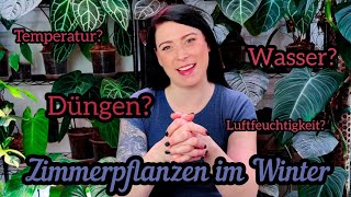 Die besten Pflanzen TIPPS für den Winter  düngen Wärme Licht uvm [upl. by Oimetra]