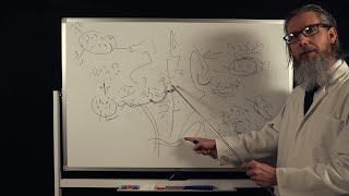 The Unintelligible Professors Lecture  ASMR [upl. by Grail363]