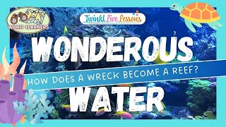 World Learners Water 3 When does a wreck become a reef [upl. by Eliason]