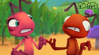 Zombie Mushroom Mayhem  🐛 Antiks 🐜  Funny Cartoons for Kids  Moonbug [upl. by Tnarg538]