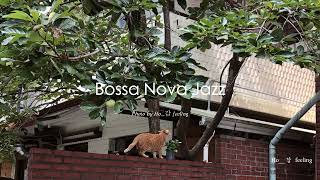 🐈 느긋하고 평화로운 시간 기분이 좋아지는 보사노바 재즈🎧  Chilled and Peaceful Moments Uplifting Bossa Nova Jazz [upl. by Ahders893]