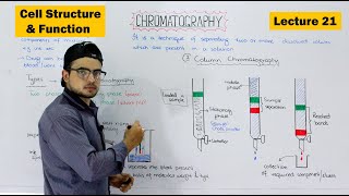 Chromatography and its types  Paper and Column Chromatography  Video 21 [upl. by Atiluap]