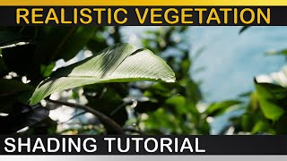 VRay  REALISTIC LEAVES  VEGETATION  Updated Translucency Workflow Explained [upl. by Dulla]