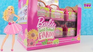 Barbie Sweet Orchard Farm Blind Bag Full Box Opening Review  PSToyReviews [upl. by Goode253]