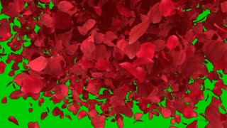 Green screen rose fx effect HD with sound Green screen rose petals [upl. by Martainn901]