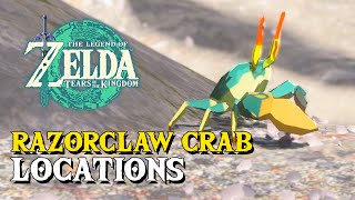 Crab Farming Razorclaw Ironshell amp BrightEyed in Zelda Breath of The Wild  BotW [upl. by Alim657]