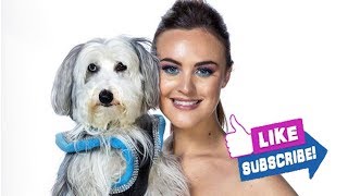 AGT Champions dog act Ashleigh and Sully reflects on devastating death of Pudsey We had to s [upl. by Llebyram]