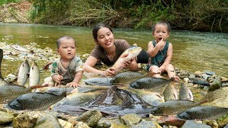 Encounter a huge school of fish  catch fish and trap fish on a rainy day  cook with your children [upl. by Rennerb]