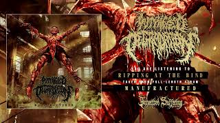 Putrified Degradation  Manufractured  Full Album 2024 [upl. by Millan]