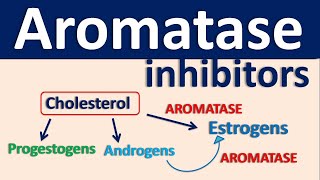 Aromatase inhibitors [upl. by Nnaeed]