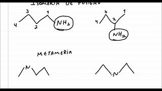 Entre as aminas CH3CH2CH2NHCH3 e CH3CH2CH2CH2NH2 ocorre isomeria [upl. by Aneled]