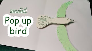 Pop up card model Pop up bird  how to make a flying pop up bird [upl. by Malvin666]