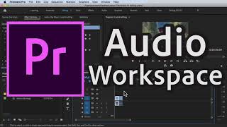 How to use Audio Workspace in Premiere Pro CC in 2020 [upl. by Petracca]