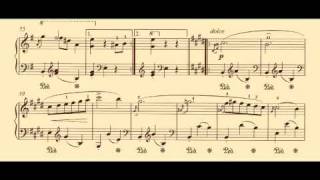 Chopin Waltz no14 in E minor opposth [upl. by Dal610]