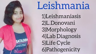 Leishmania Leishmaniasis Kalaazar Morphology amp lab diagnosis including its life cycle [upl. by Ttelrahc388]