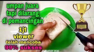 UMPAN JITU IKAN LELE GALATAMA DAN HARIAN YANG MOGOK MAKAN 62 [upl. by Ailsa55]