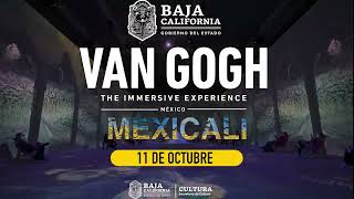 Exposición “Van Gogh Una Experiencia Inmersiva” estará en Mexicali [upl. by Lola]