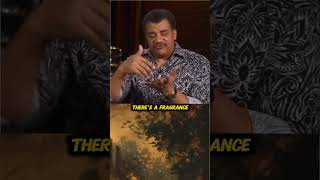 Deaths Awareness Brings Purpose To Life 😎 w neil degrasse tyson [upl. by Vanthe]