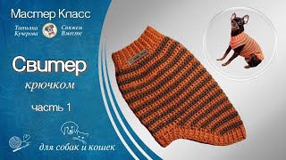 Свитер крючком для собак и кошек часть 1 [upl. by Telocin]