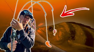 What Does Perch Choose  CANDY SHRIMP or WORM Exploring with GoPro Underwater  Team Galant [upl. by Akerdna]