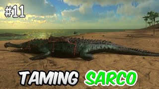 I FINALLY TAMED SARCO 😱 AND HIGH LVL PTERANODON 😍 IN ARK SURVIVAL  ARK SURVIVAL  PART 11 HINDI [upl. by Targett]