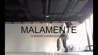 lisa的《MALAMENTE》Cheshir choreo，阳光明媚的自拍练习 [upl. by Nika633]