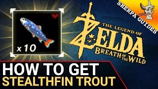 How to Find Stealthfin Trout  Stealth Gear Upgrades  Zelda Breath of the Wild [upl. by Ieluuk]