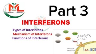 Interferons Types of interferon Mechanism of Interferons  Functions of Interferons  Immunology [upl. by Notna464]