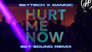 Skytech amp Dannic  Hurt Me Now SKY SOUND Remix [upl. by Ainel]