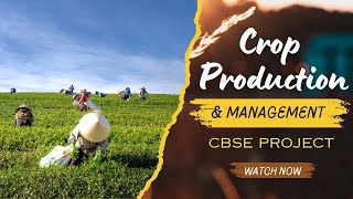 Crop Production and Management  CBSE Project 💯 [upl. by Ernesta]