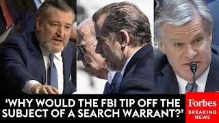 BREAKING NEWS Ted Cruz Furiously Grills FBIs Wray About Hunter Biden Probe [upl. by Atsirk]