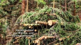 Dokumentation Hackschnitzelproduktion  vom Wald bis ins Heizkraftwerk [upl. by Darees]