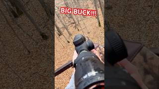 BIG BUCK DOWN🦌 hunting minnesota fyp youtube deer hunting viral opener deer bigbuck [upl. by Letniuq]