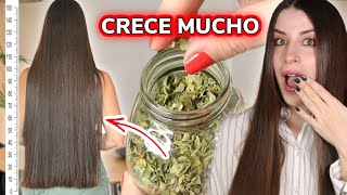 TÚ PELO CRECE COMO LOCO Y NO SE CAE  CABELLO LARGO [upl. by Llevrac460]