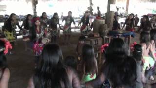 Embera Puru Dancemp4 [upl. by Loralyn]