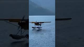 My first floatplane landing floatplane [upl. by Mallen]