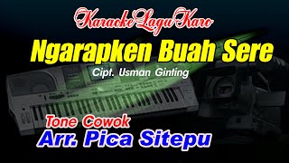 Karaoke Lagu Karo Ngarapken Buah Sere Tone Cowok [upl. by Chesna664]