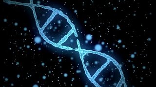 DNA vs RNA The Key Differences [upl. by Gleason]